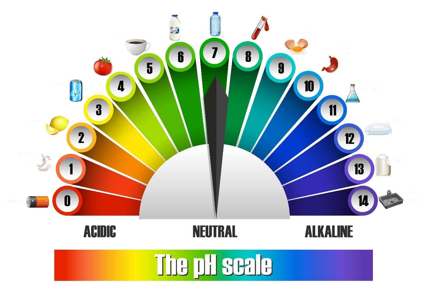The-pH-scale-of-alkaline-water
