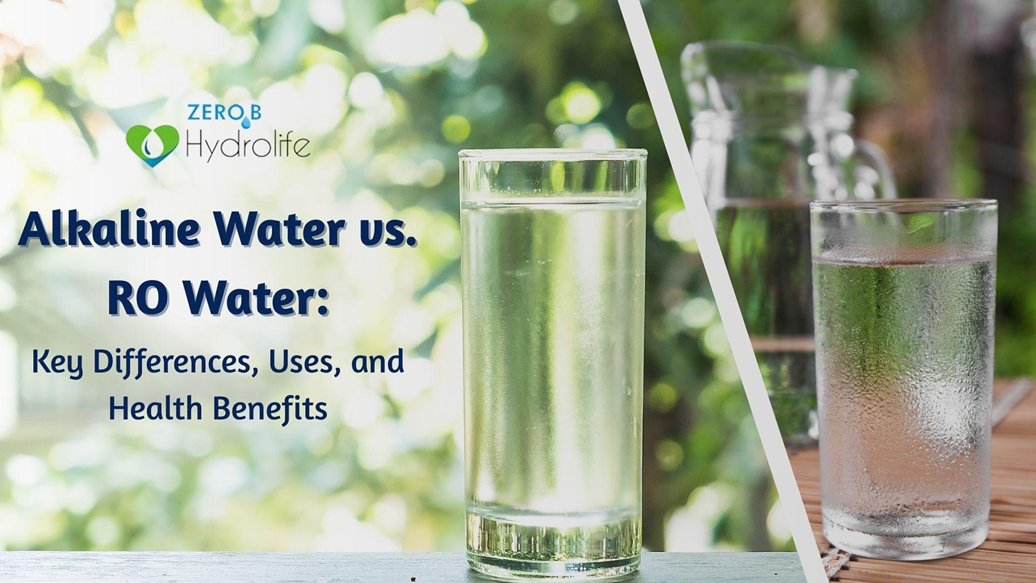 Alkaline Water vs RO Water